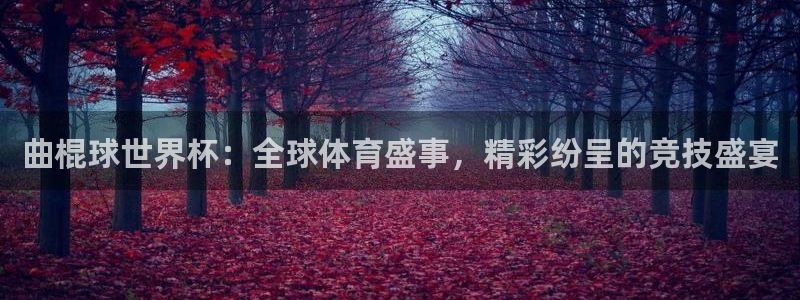 2026足球世界杯赛程时间表：曲棍球世界杯：全球体育盛事，精彩纷呈的竞技盛宴