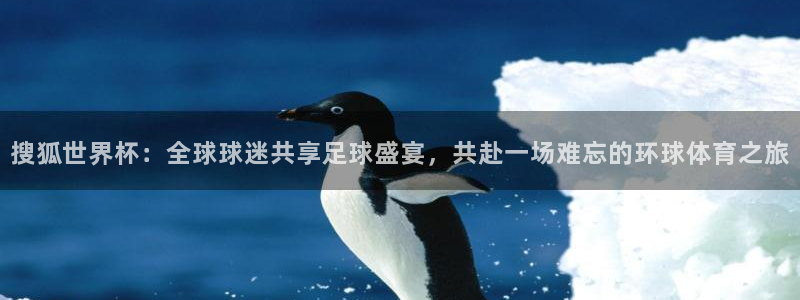 2026世界杯对阵图：搜狐世界杯：全球球迷共享足球盛宴，共赴一场难忘的环球体育之旅