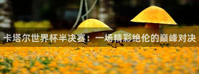 2026世预赛赛程：卡塔尔世界杯半决赛：一场精彩绝伦的巅峰对决