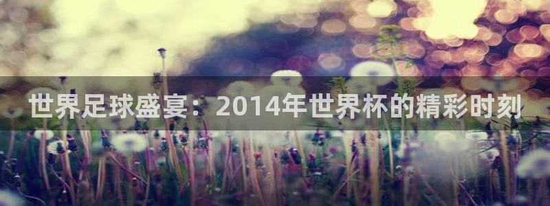 2006年世界杯：世界足球盛宴：2014年世界杯的精彩时刻
