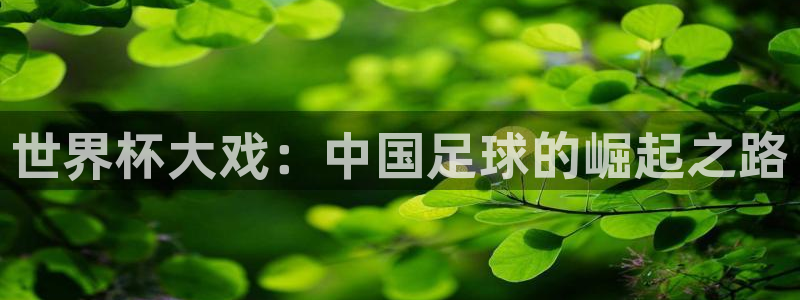女足世界杯赛程：世界杯大戏：中国足球的崛起之路