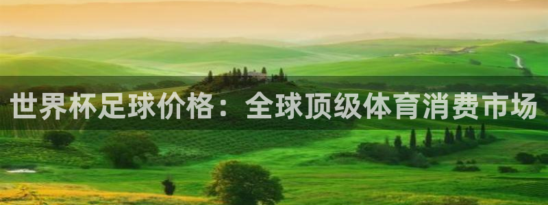 世界杯今年：世界杯足球价格：全球顶级体育消费市场