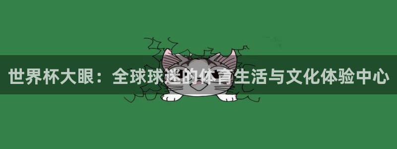女足世界杯赛程：世界杯大眼：全球球迷的体育生活与文化体验中心