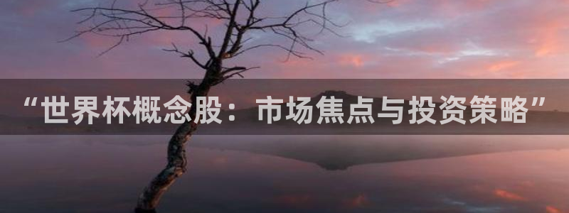 世界杯预选赛亚洲：“世界杯概念股：市场焦点与投资策略”